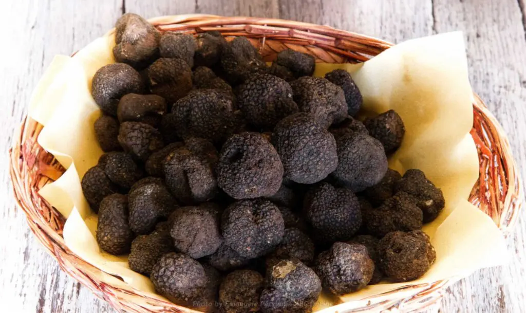 Acquista tartufo nero estivo Norcia