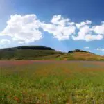 Passeggiata nella Fioritura tra fiori