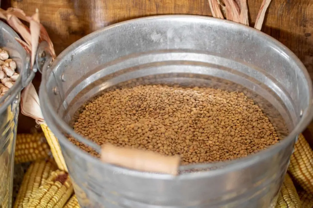 Come usare la Lenticchia di Castelluccio: ricette invernali