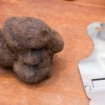 tartufo nero di norcia appena cavato