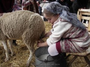 pasquarelle tradizione che passione