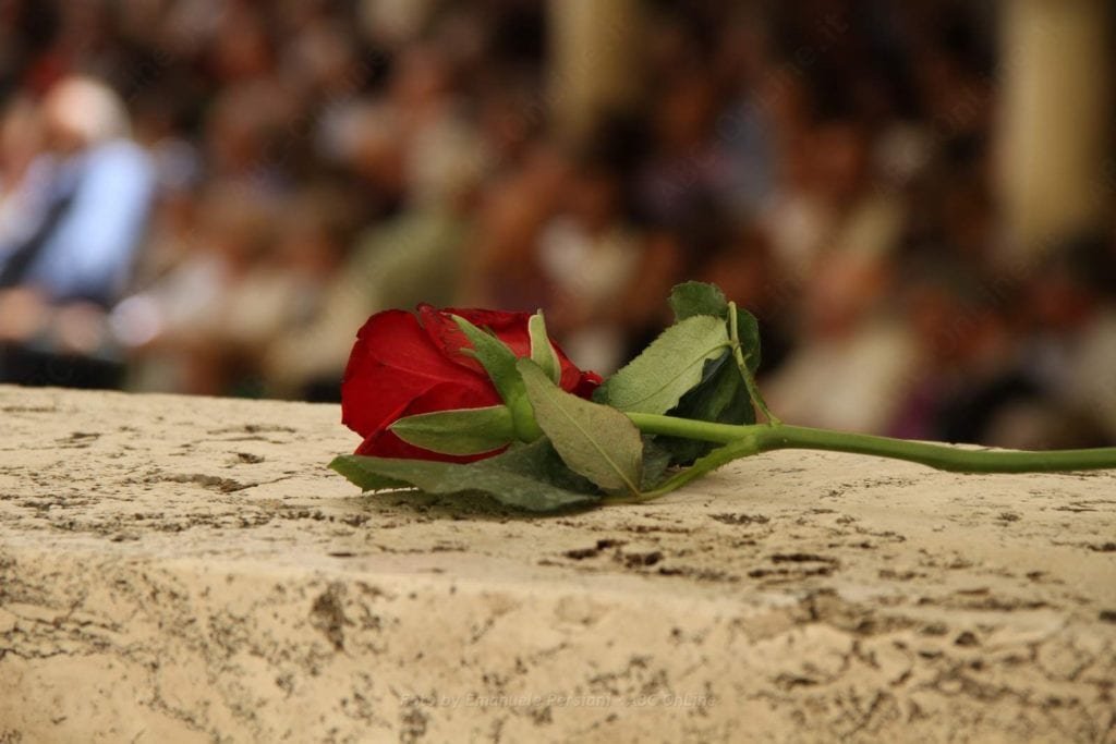 festa delle rose e delle rite - rosa a Cascia per Santa Rita