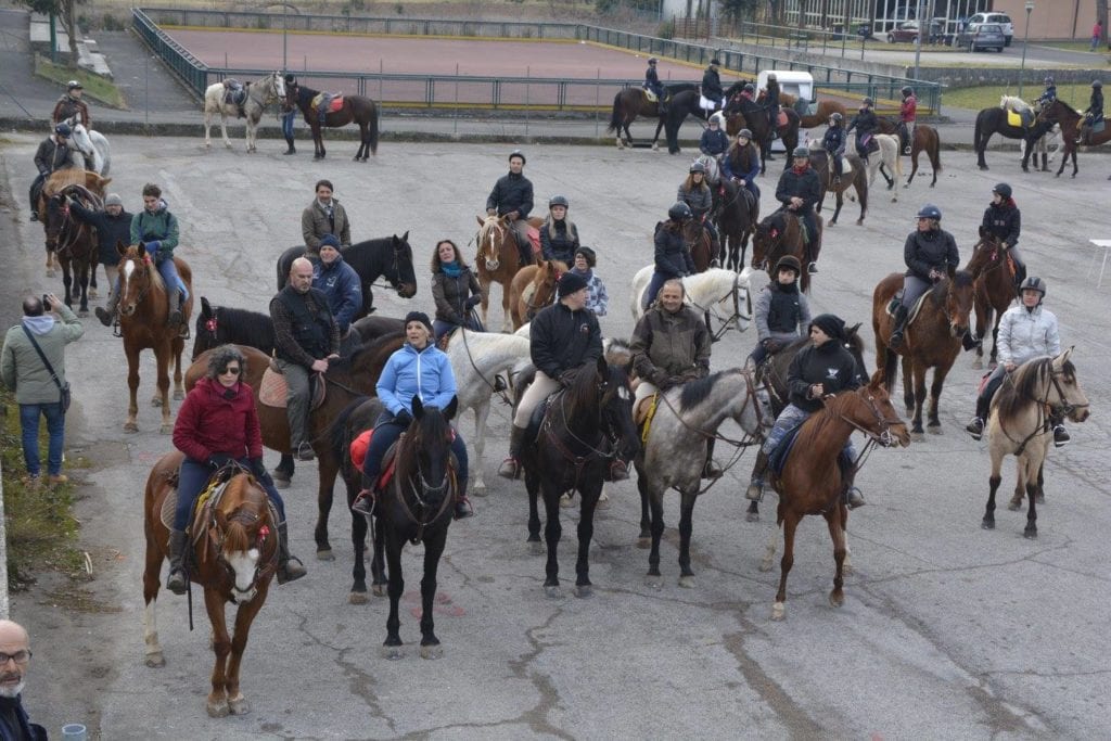 Domenica 17 Gennaio Sant’Antonio Abate nel 2021 animali cavalli