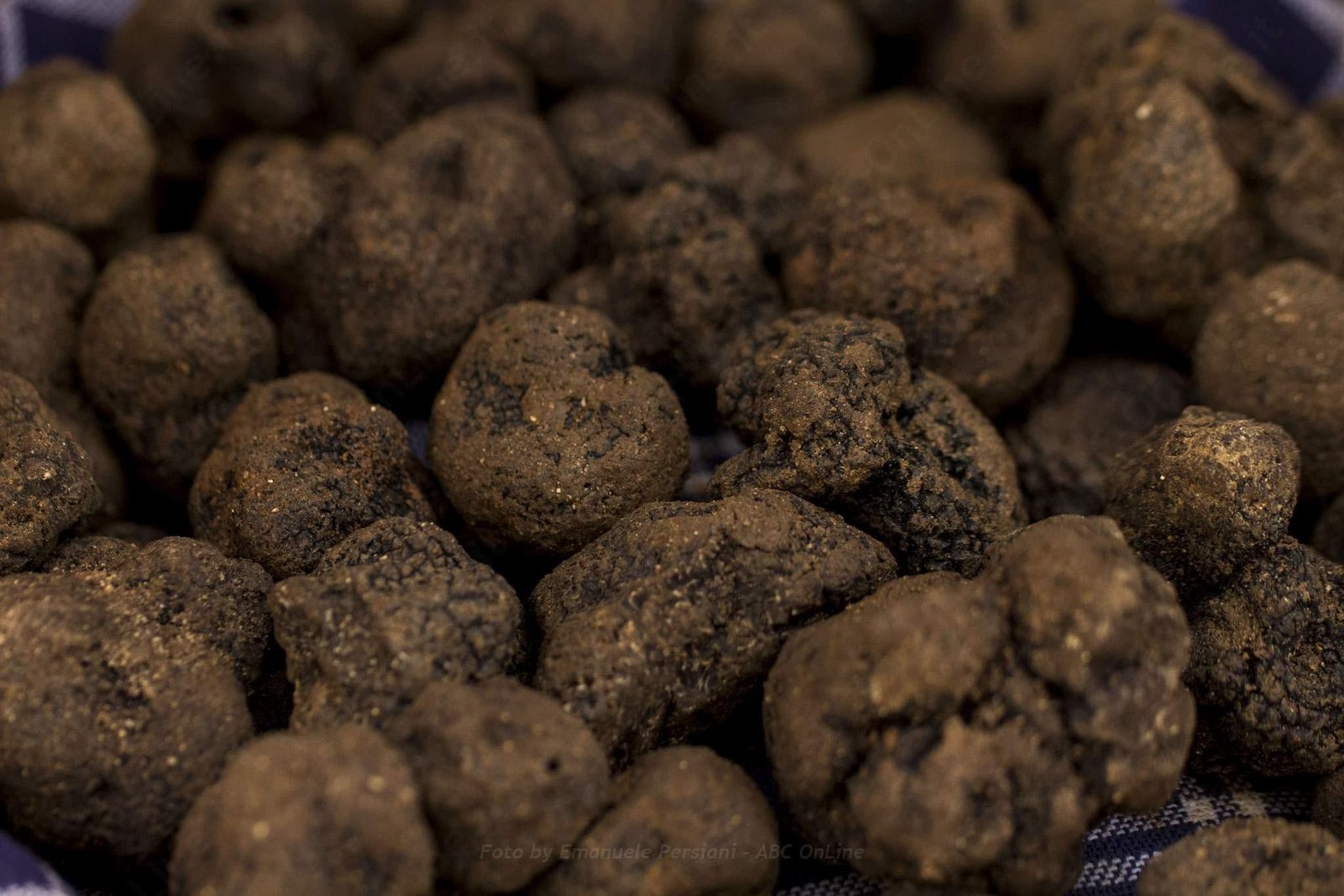 tartufo nero di Norcia