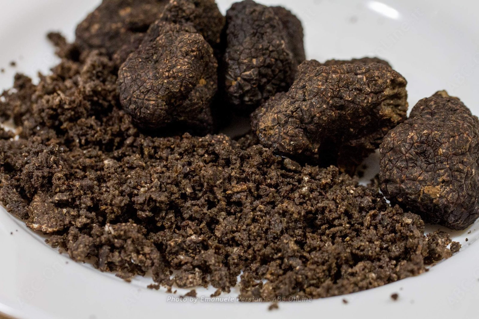 Tartufo fresco di Norcia intero e grattuggiato