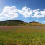 Passeggiata nella Fioritura tra fiori